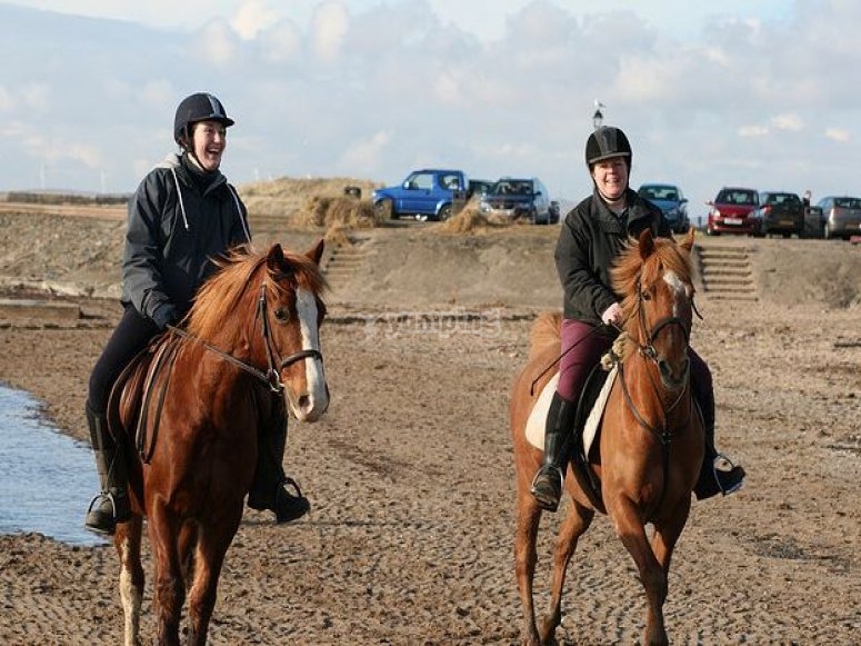 Meadowhead Farm, prices and bookings 2024